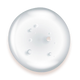 Allantoin